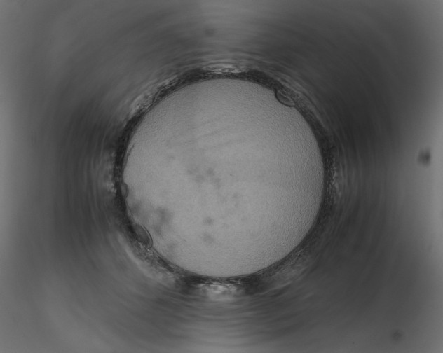 X0000116560512200912311935