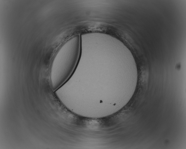 X0000116560513200912311935