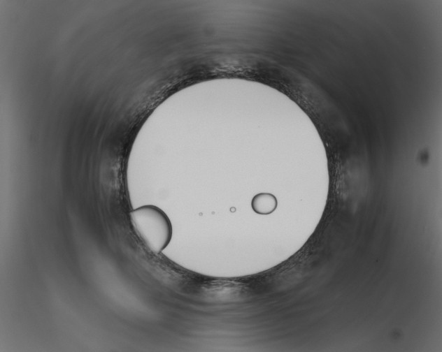 X0000116560514200912311935