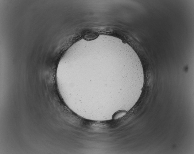 X0000116560515200912311935