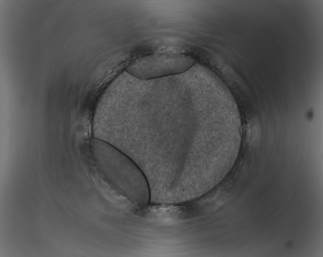 X0000116560517200912311935