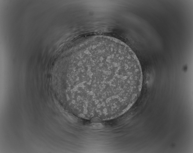 X0000116560519200912311935