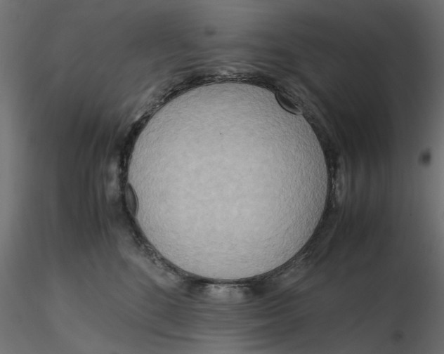 X0000116560520200912311935