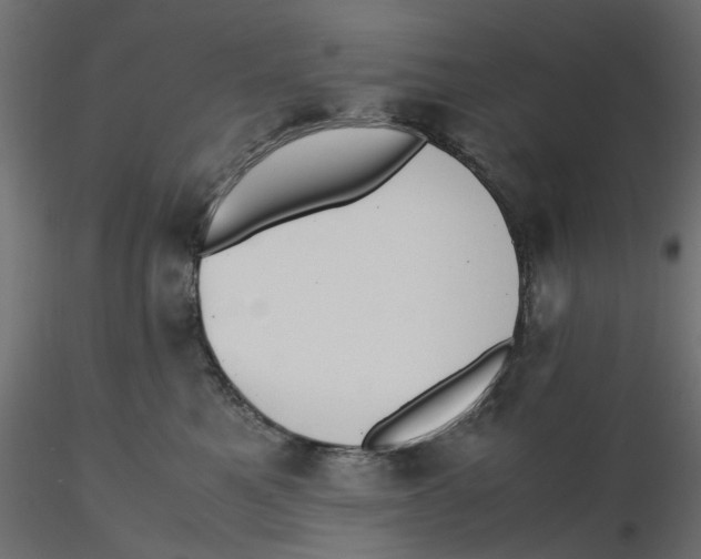 X0000116560521200912311935