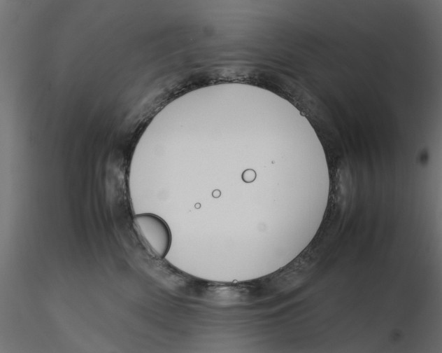 X0000116560522200912311935