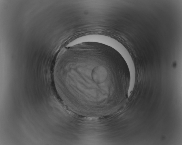 X0000116560524200912311935