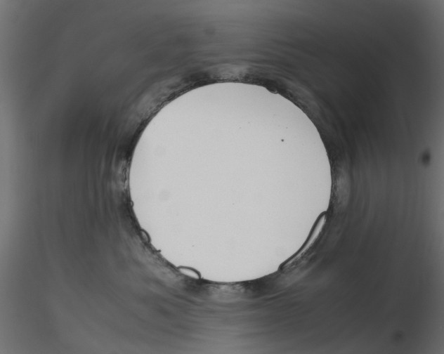 X0000116560525200912311935