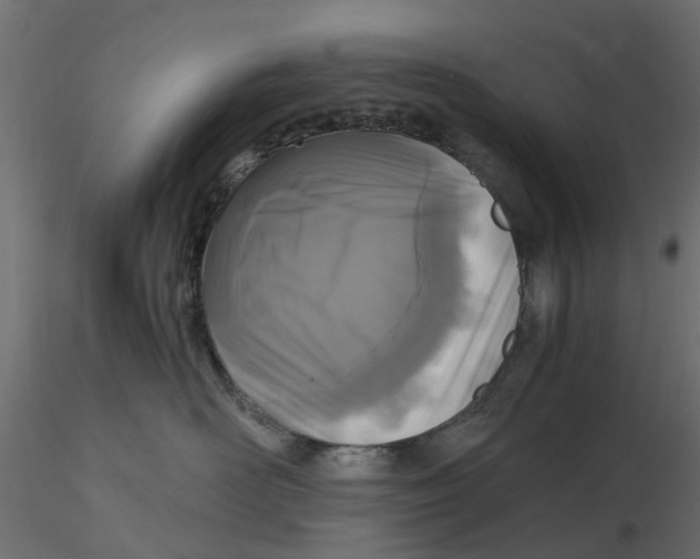 X0000116560526200912311935