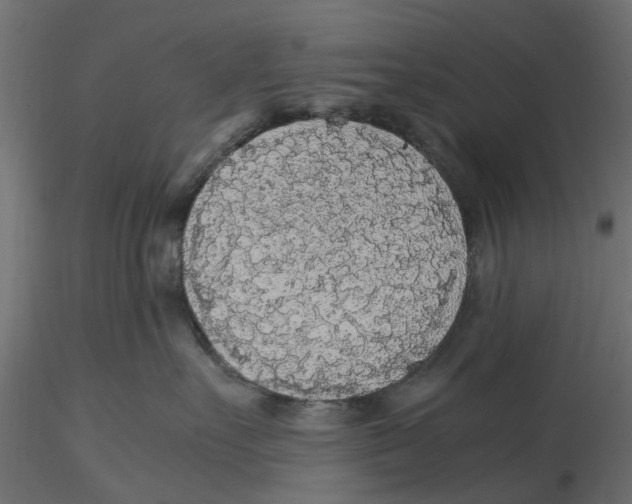 X0000116560527200912311935