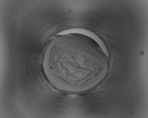 X0000116560528200912311935