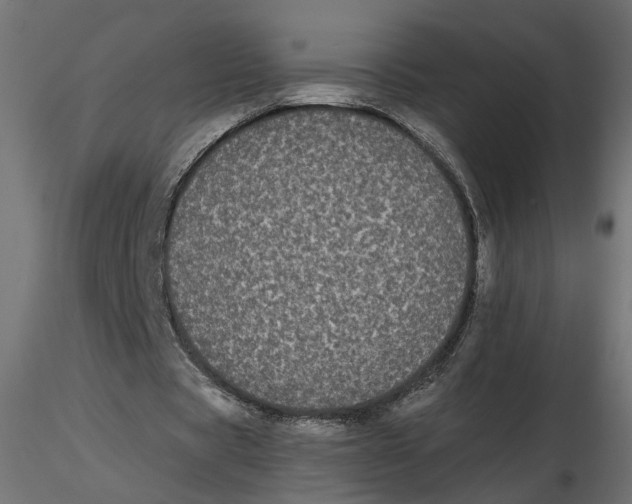 X0000116560529200912311934