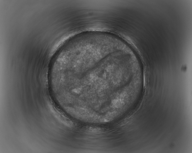 X0000116560531200912311934