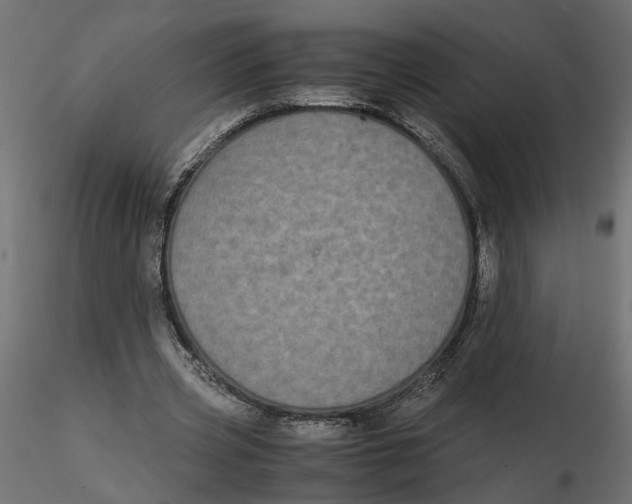 X0000116560533200912311934