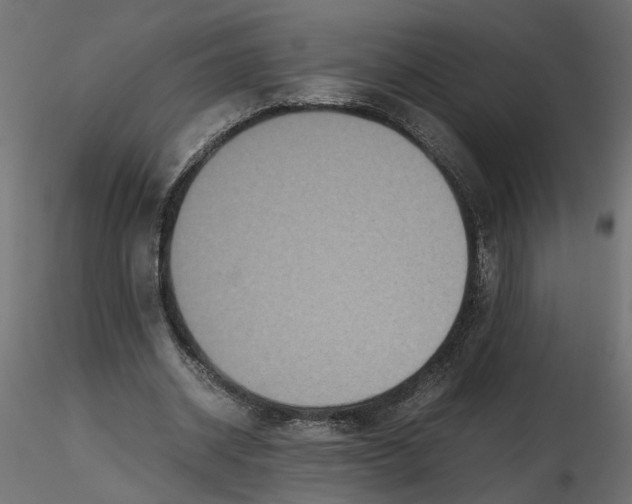 X0000116560534200912311934