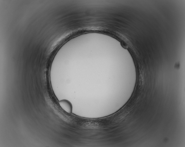 X0000116560535200912311934