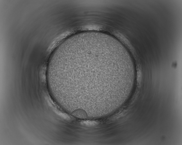 X0000116560537200912311934