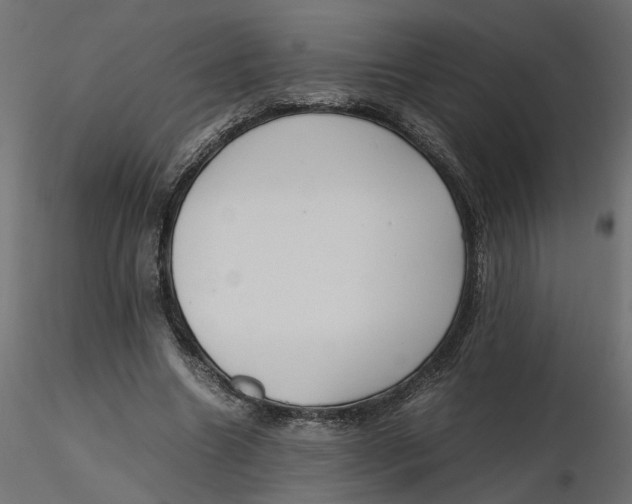 X0000116560538200912311934