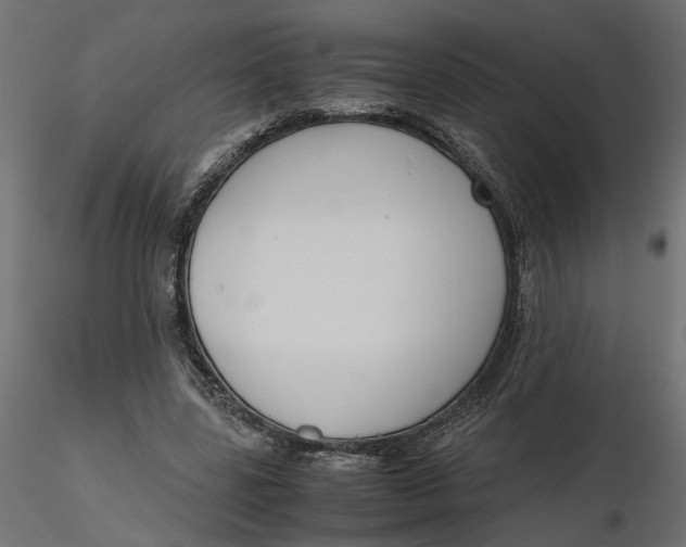 X0000116560539200912311934