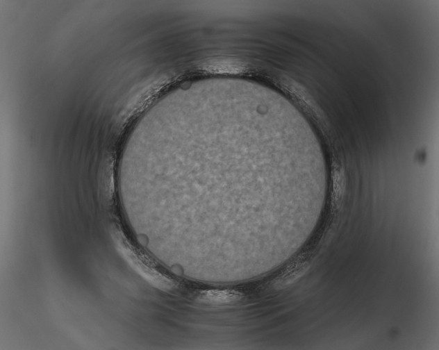 X0000116560541200912311934