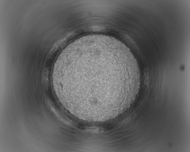 X0000116560542200912311934