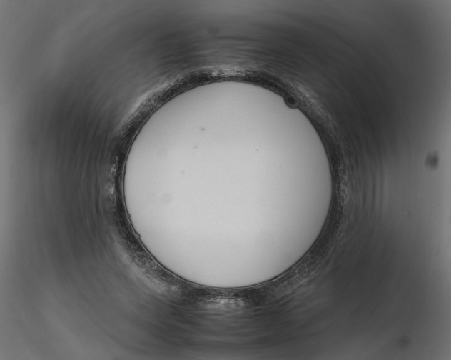 X0000116560543200912311934