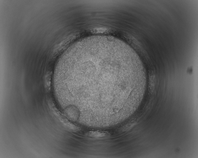 X0000116560545200912311934