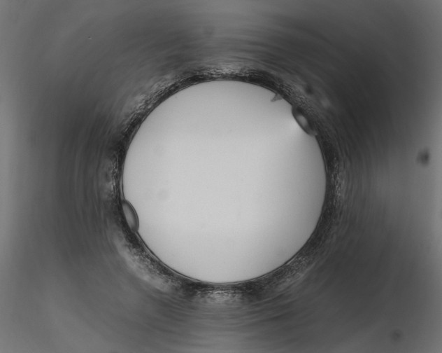 X0000116560546200912311934