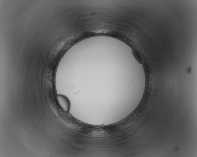 X0000116560547200912311935