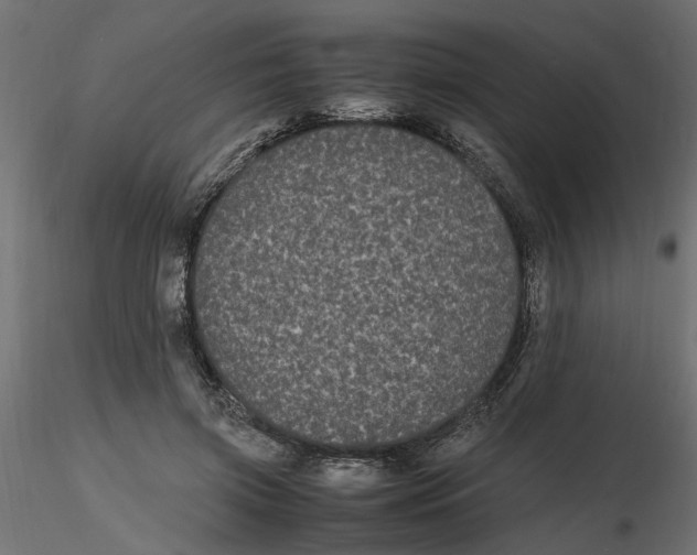 X0000116560549200912311935