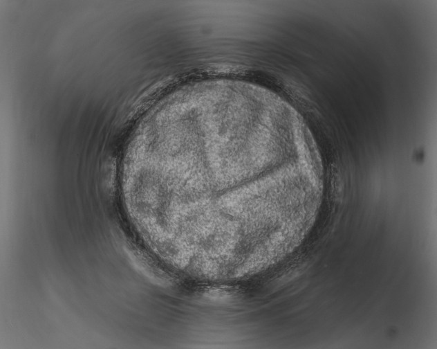 X0000116560550200912311935