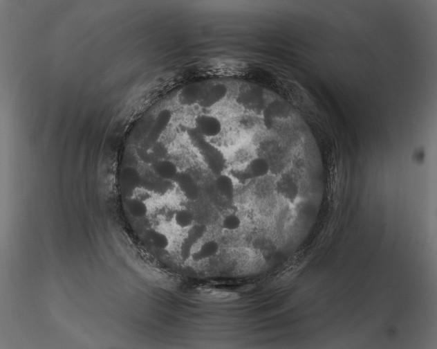 X0000116560553200912311935