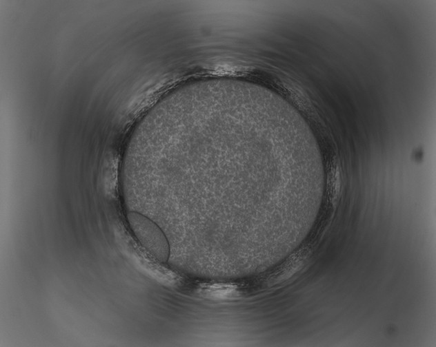 X0000116560554200912311935