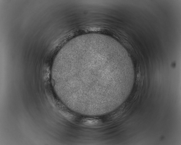 X0000116560555200912311935