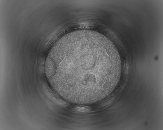 X0000116560557200912311935