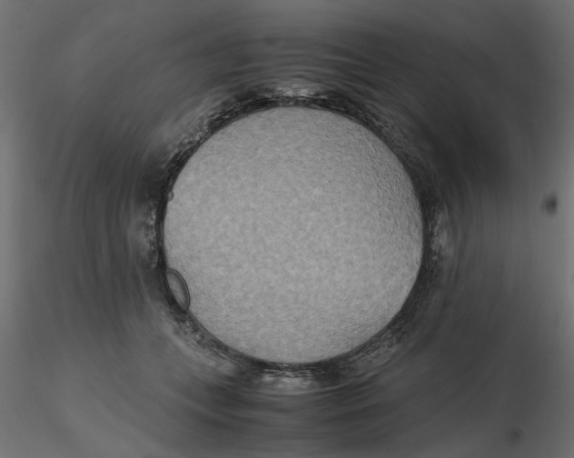 X0000116560559200912311935