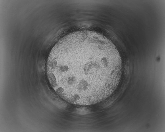 X0000116560561200912311935