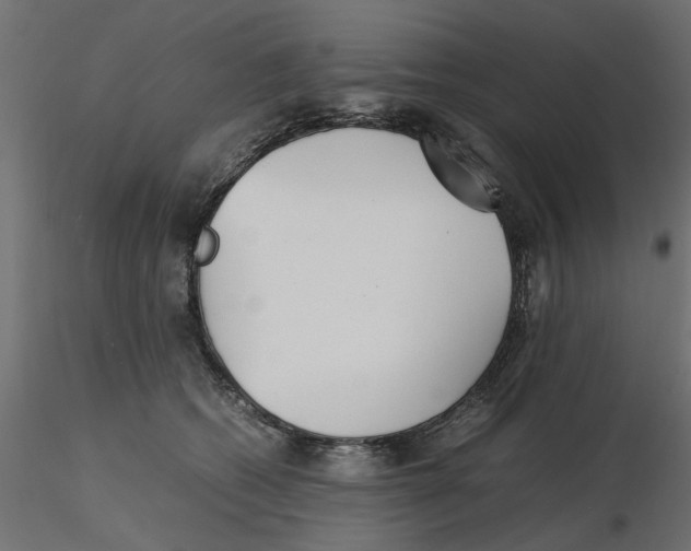 X0000116560562200912311935