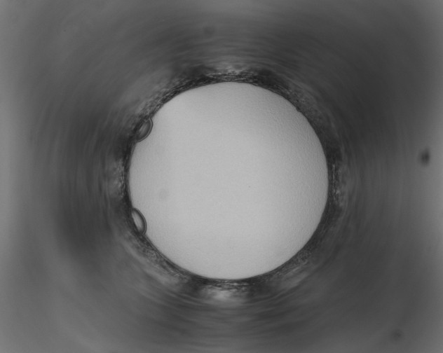 X0000116560563200912311935