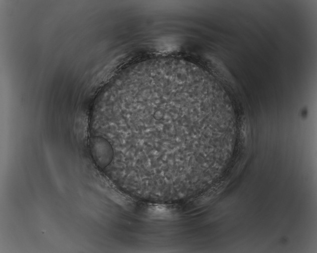 X0000116560565200912311935