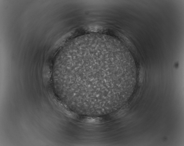 X0000116560569200912311935