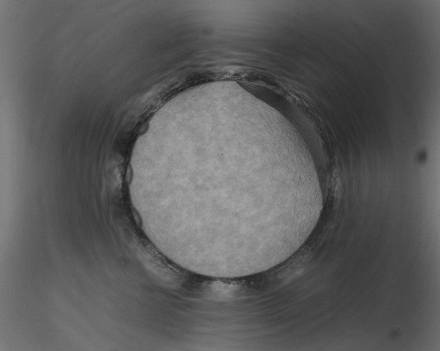 X0000116560570200912311935