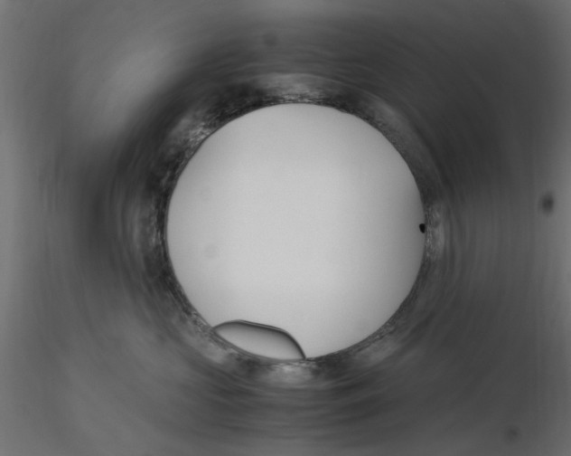 X0000116560573200912311935