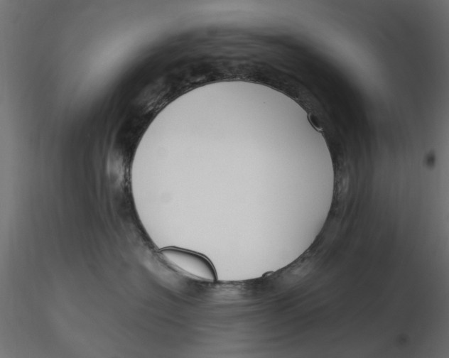 X0000116560574200912311935