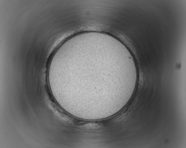 X0000116560578200912311934