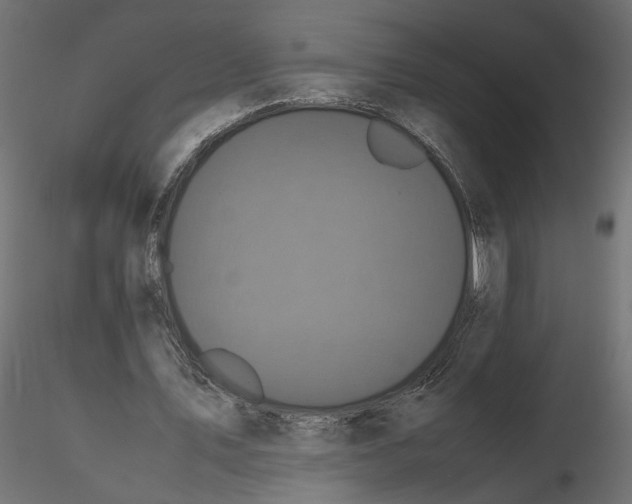 X0000116560579200912311934