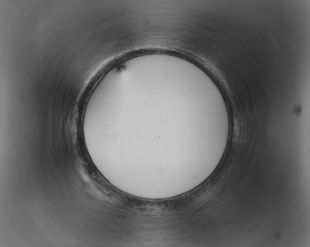 X0000116560580200912311934