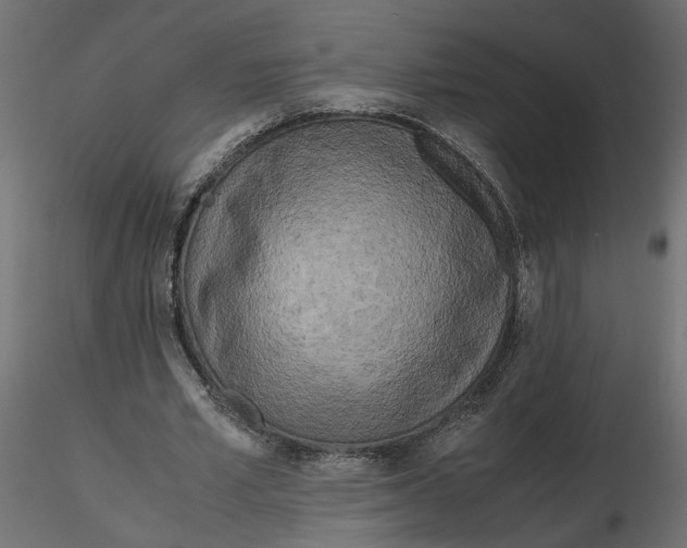 X0000116560581200912311934