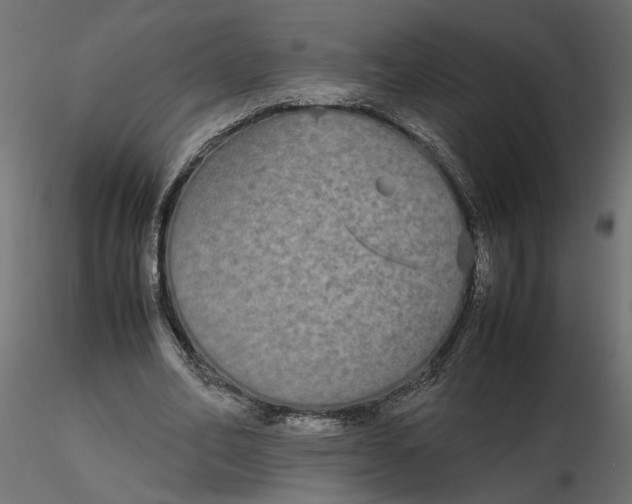 X0000116560582200912311934