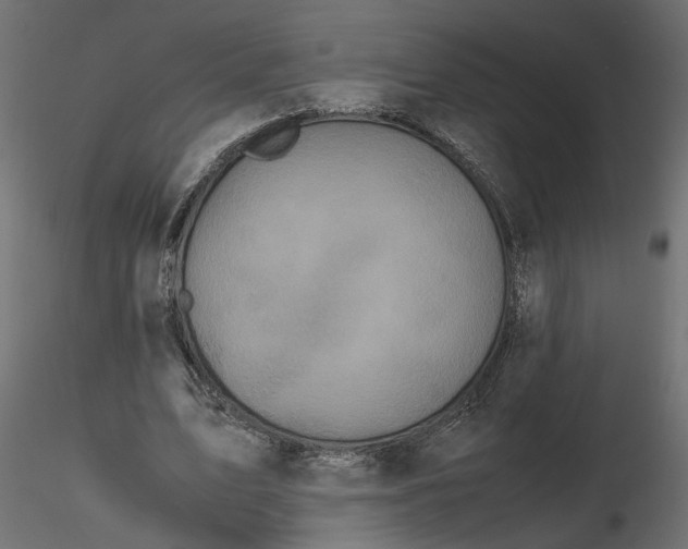 X0000116560583200912311934