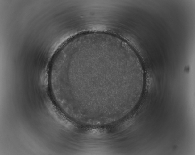 X0000116560584200912311934